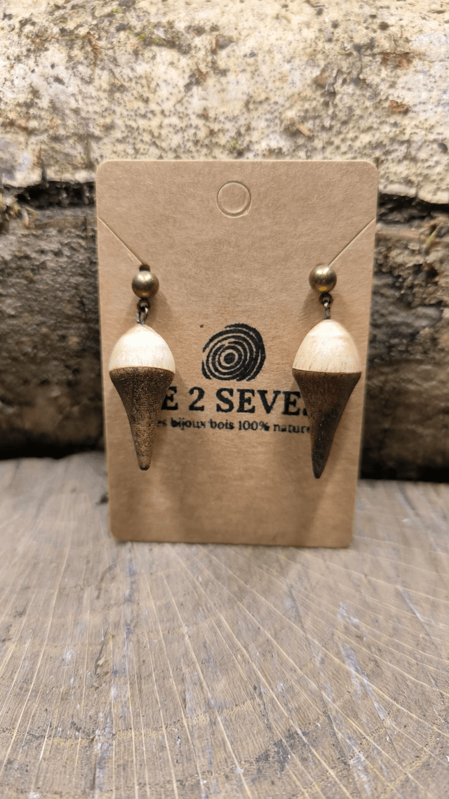 Aulne + Noyer US - 240216